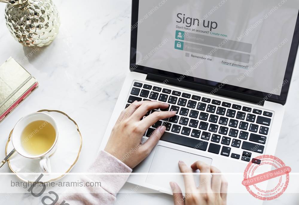 person using laptop 1000